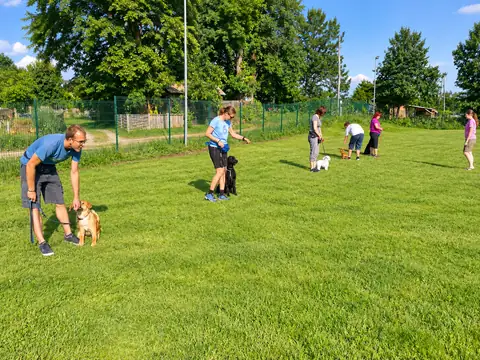 Skupina skrbnikov in psov na treningu
