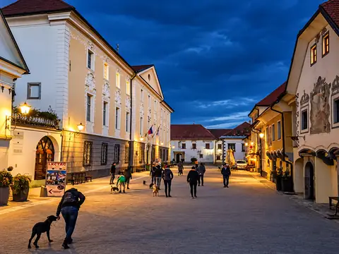Večerni sprehod s psom v mestu